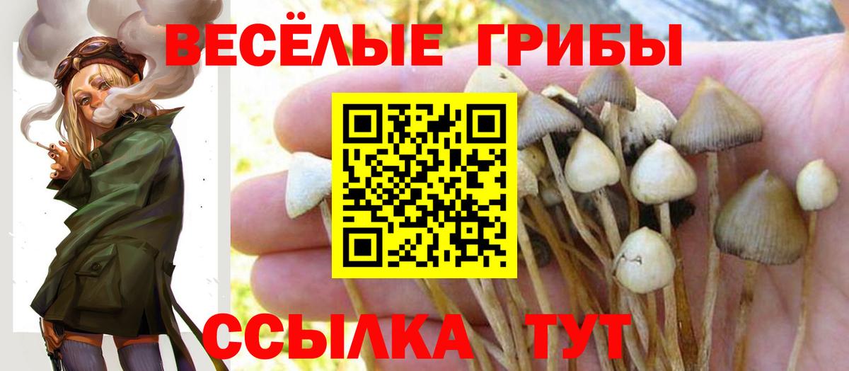 Реж  Псилоцибиновые грибы ЛСД  Вход с VPN 